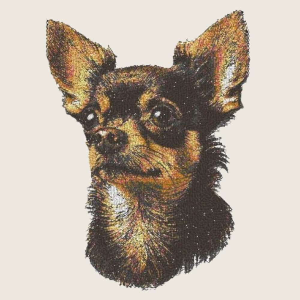 Chihuahua