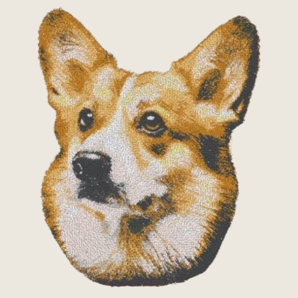 Corgi