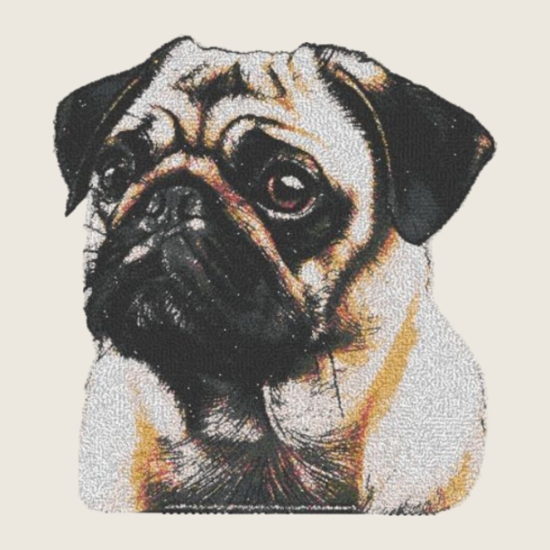 Pug