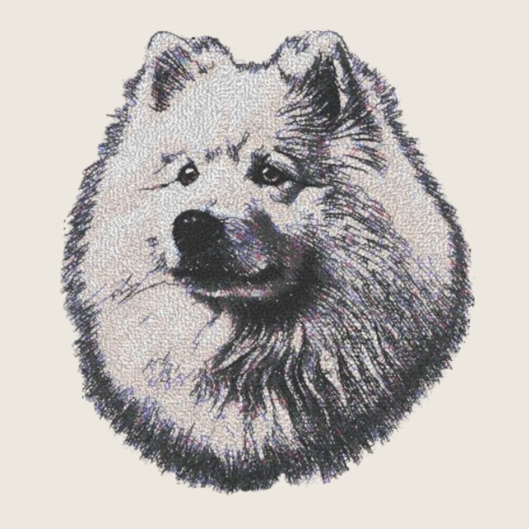 Samoyed