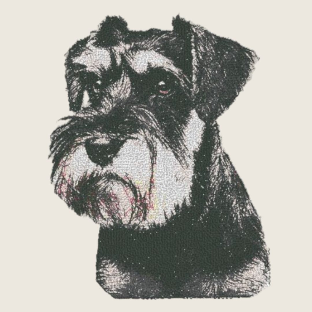 Schnauzer