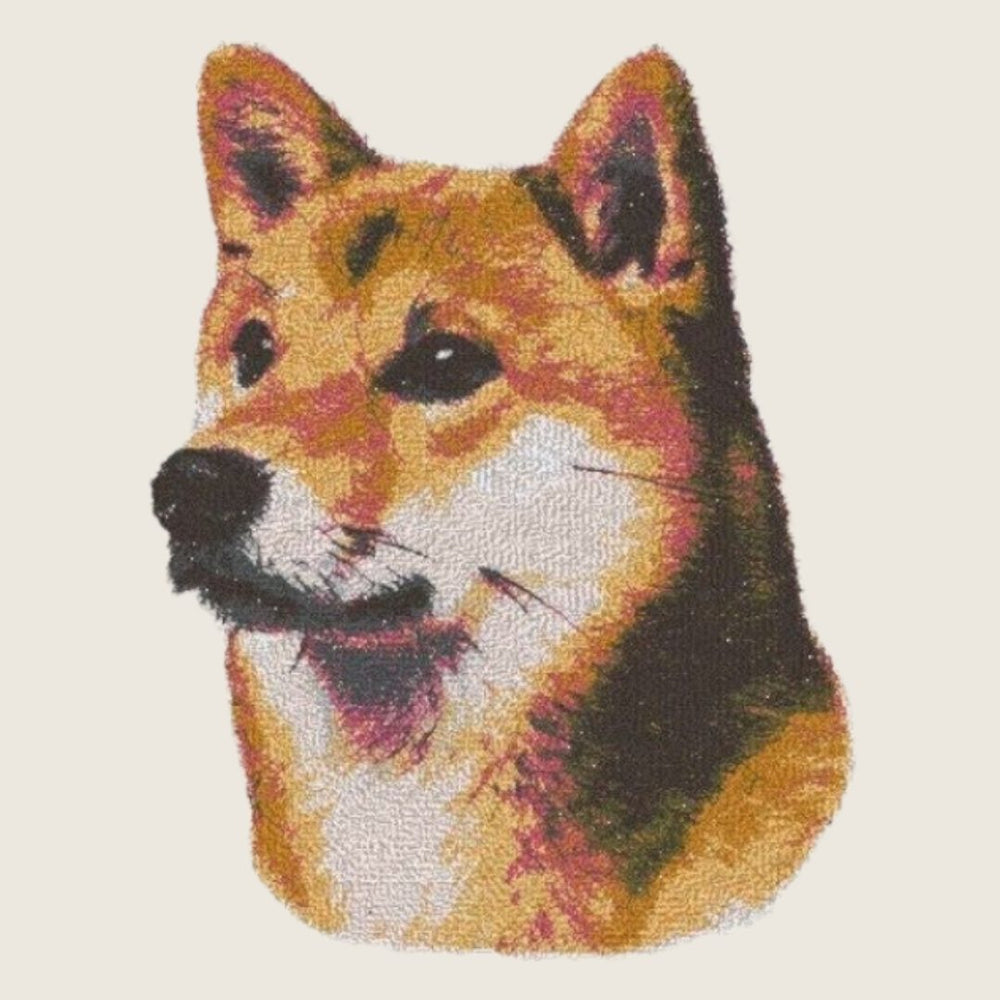 Shiba
