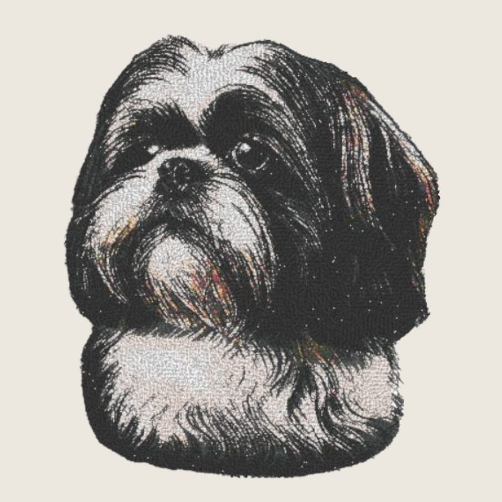 Shih Tzu