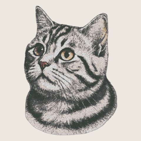 American Shorthair