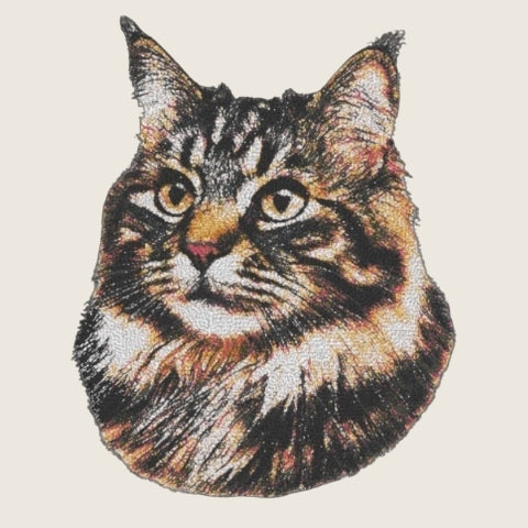 Maine Coon