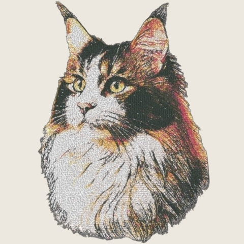Norwegian Forest Cat