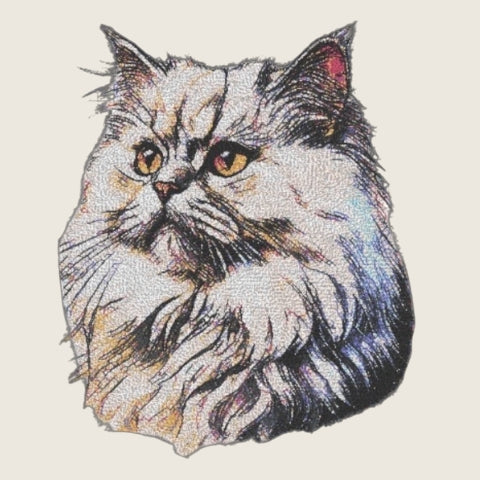 Persian Cat