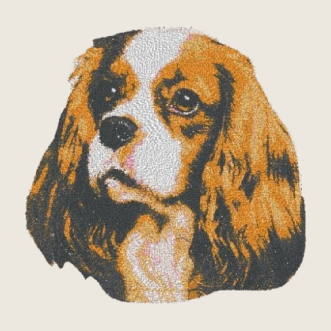 Cavalier