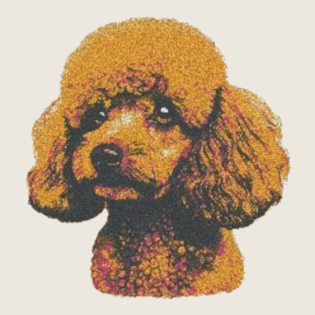 Poodle