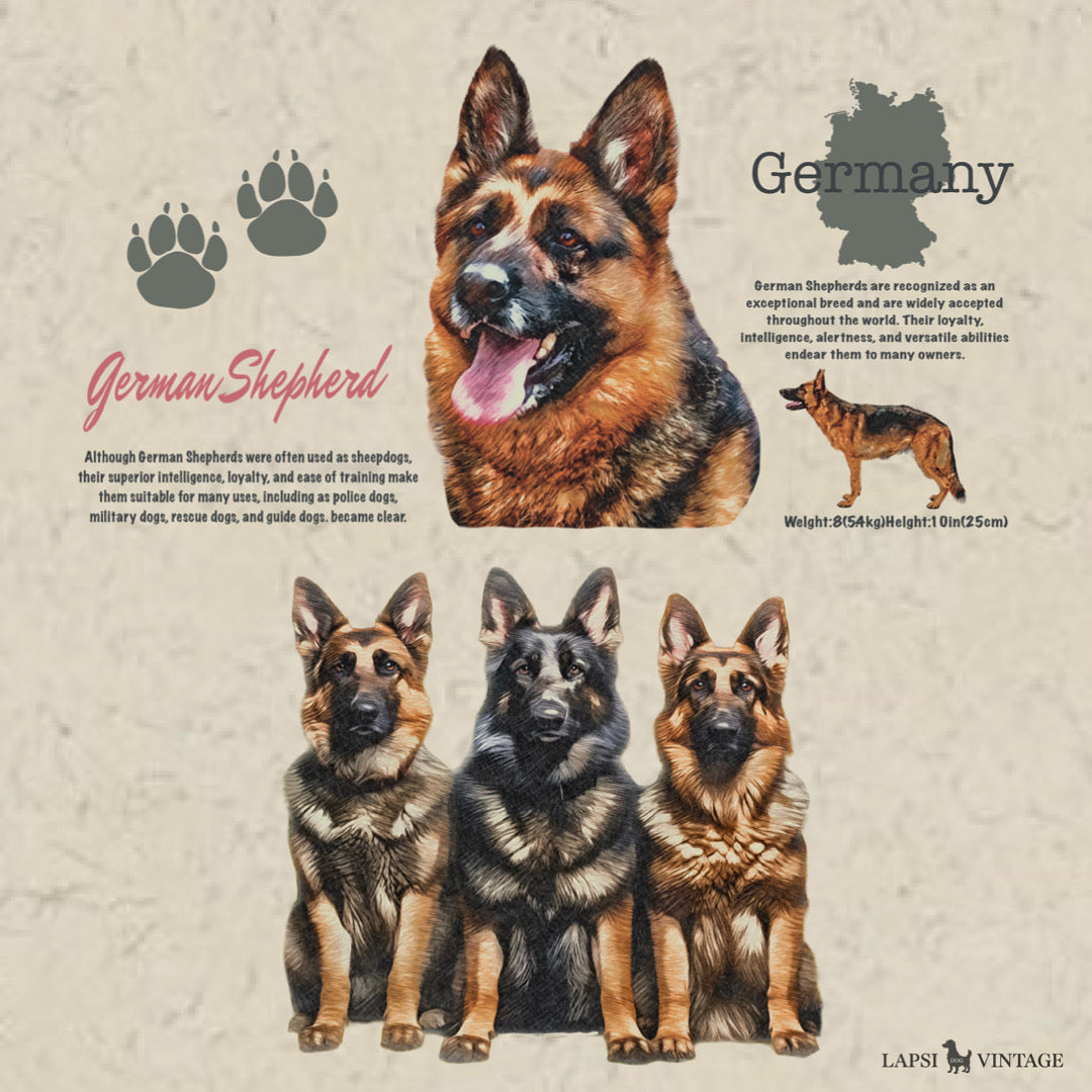 Shepherd