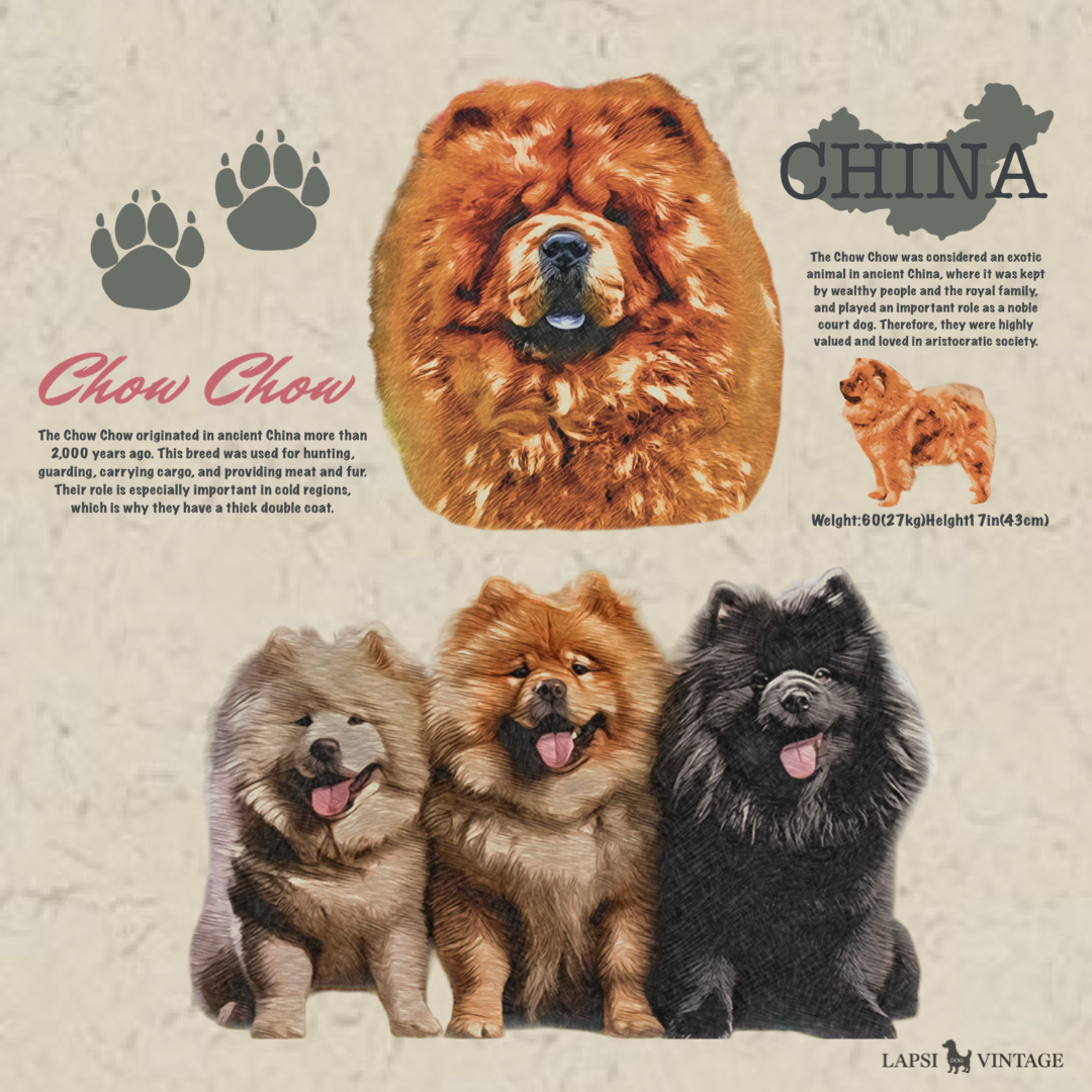 Chow Chow