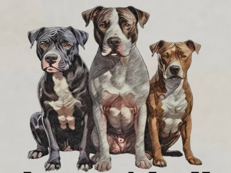Pitbull