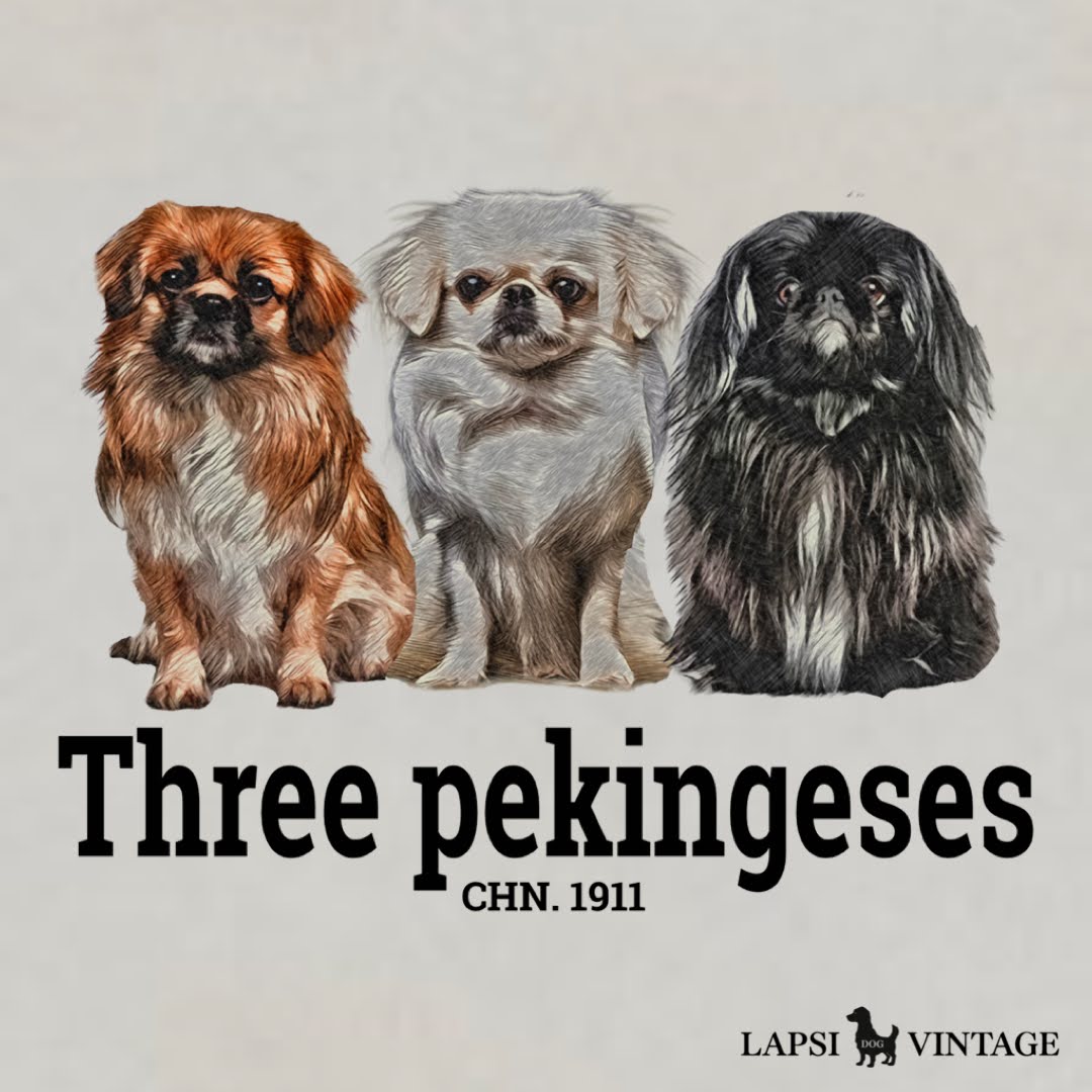 Pekingese