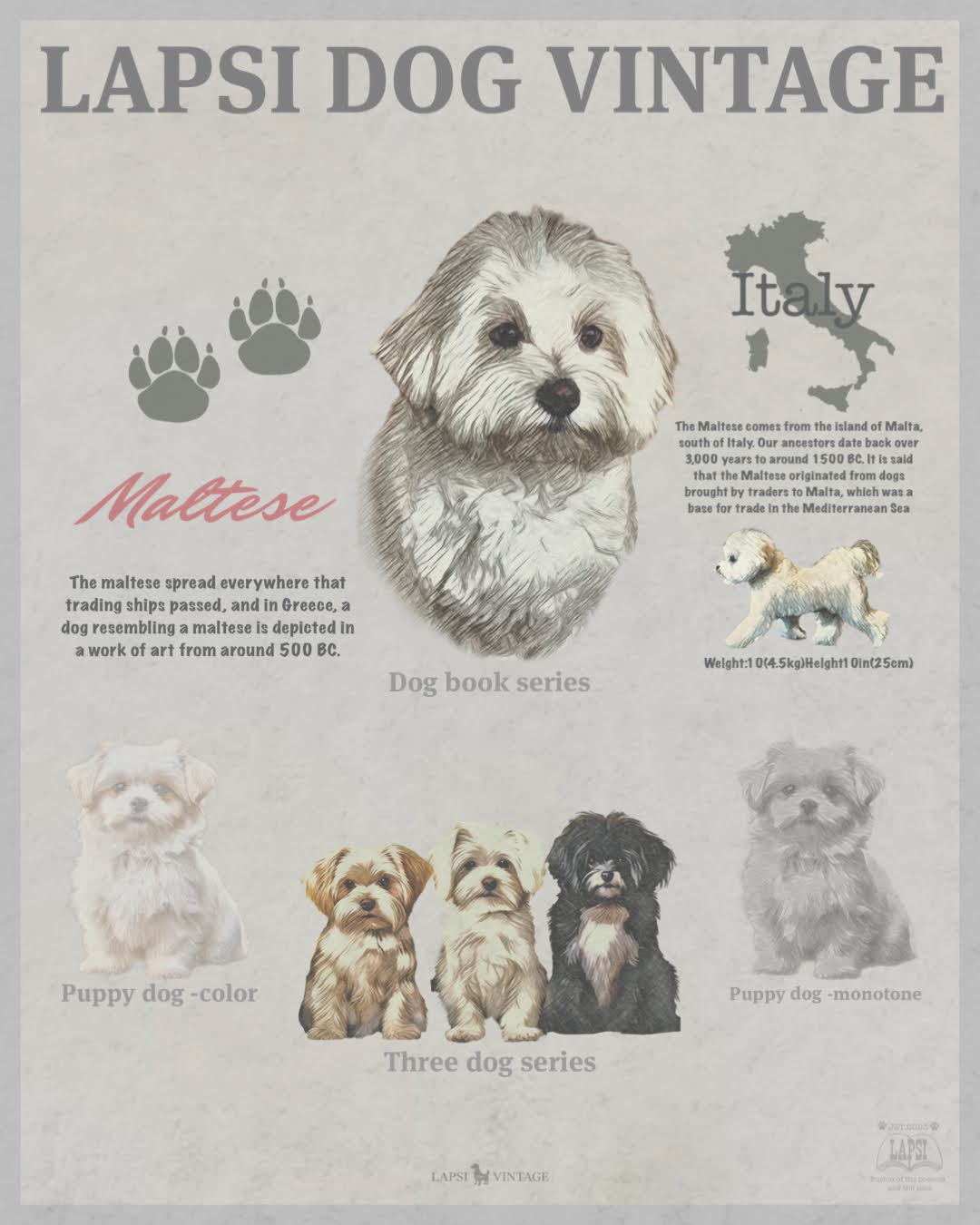 Maltese