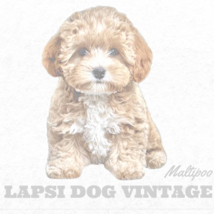 Maltipoo