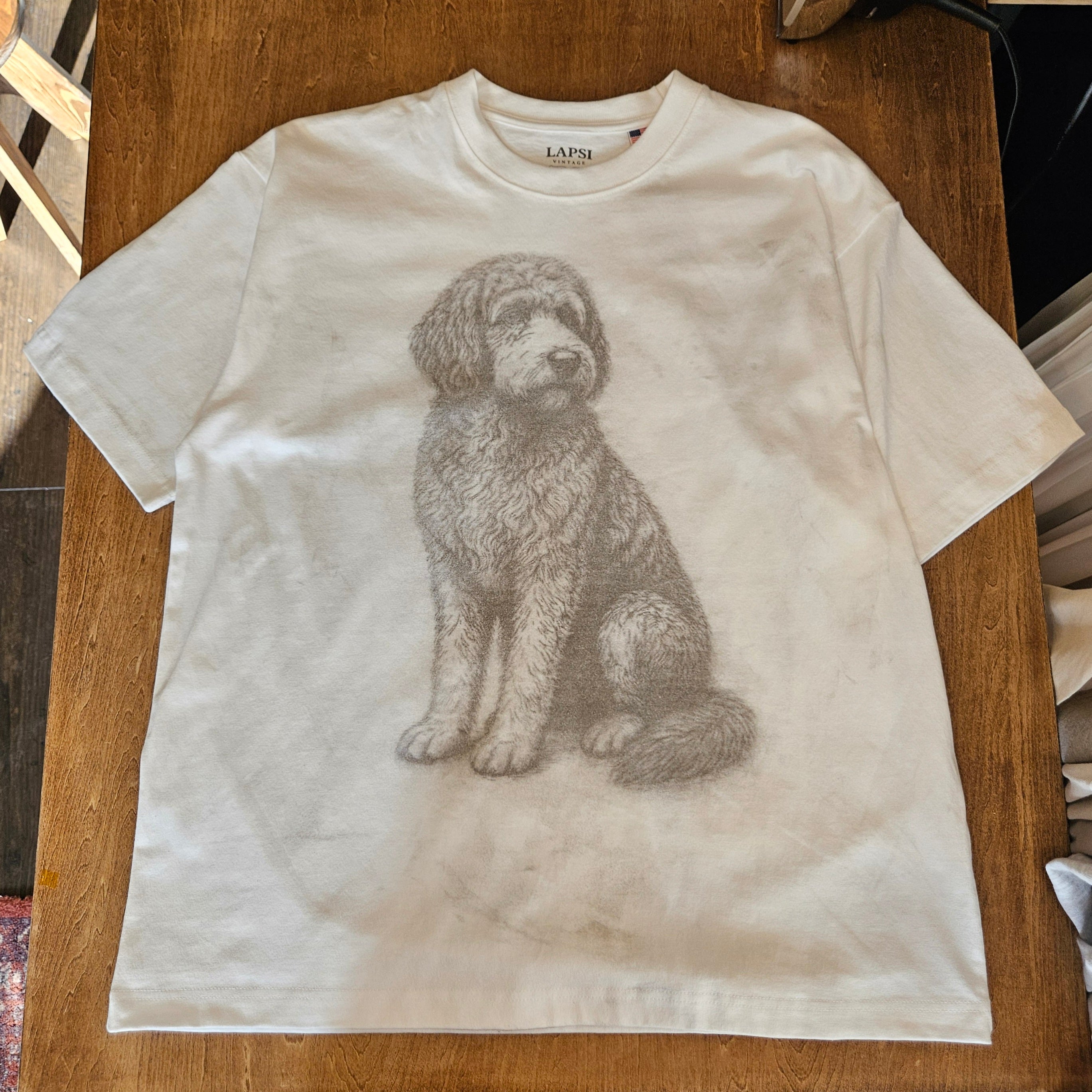 Jack Russell Terrier