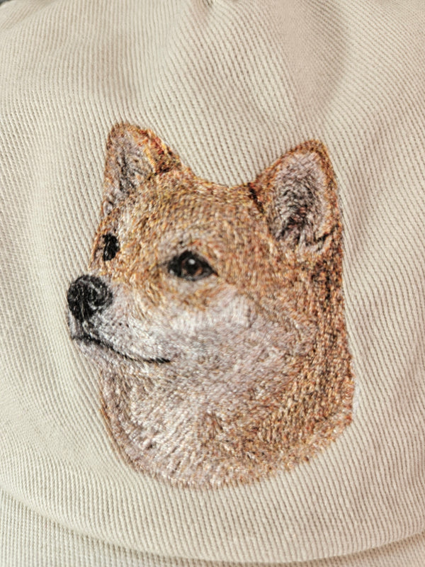 柴犬　テスト