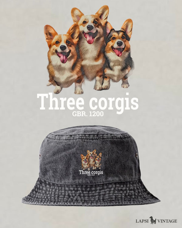 LAPSI Three dog series corgi bucket hat