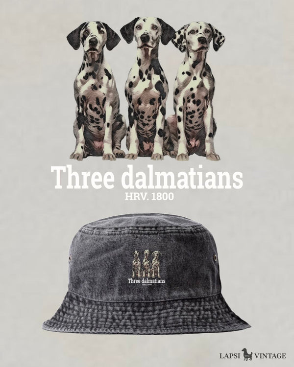 LAPSI Three dog series dalmatian bucket hat