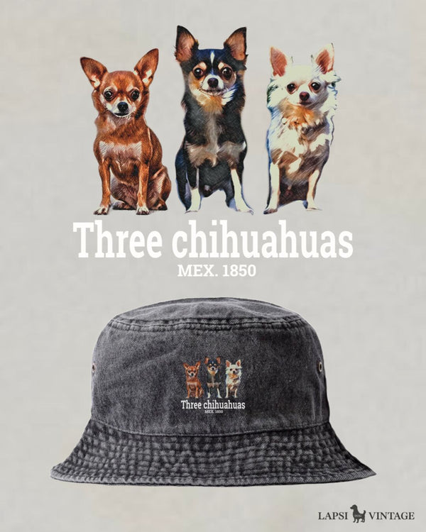 LAPSI Three dog series chihuahua bucket hat
