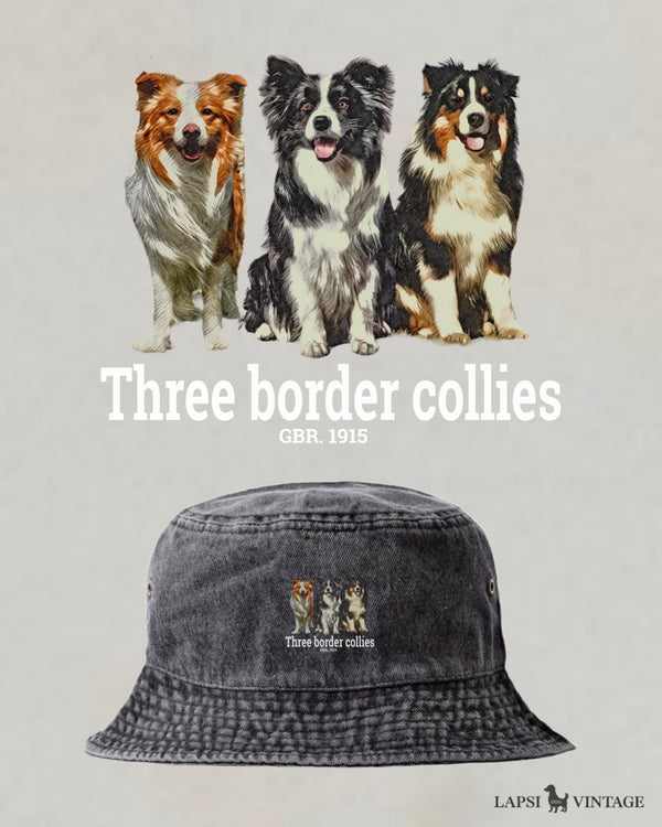 LAPSI Three dog series border collie bucket hat