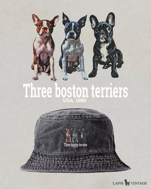 LAPSI Three dog series boston terrier bucket hat