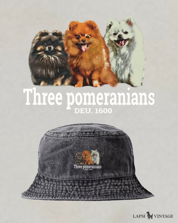 LAPSI Three dog series Pomeranian bucket hat