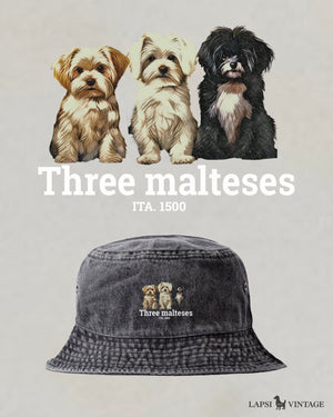LAPSI Three dog series maltese bucket hat