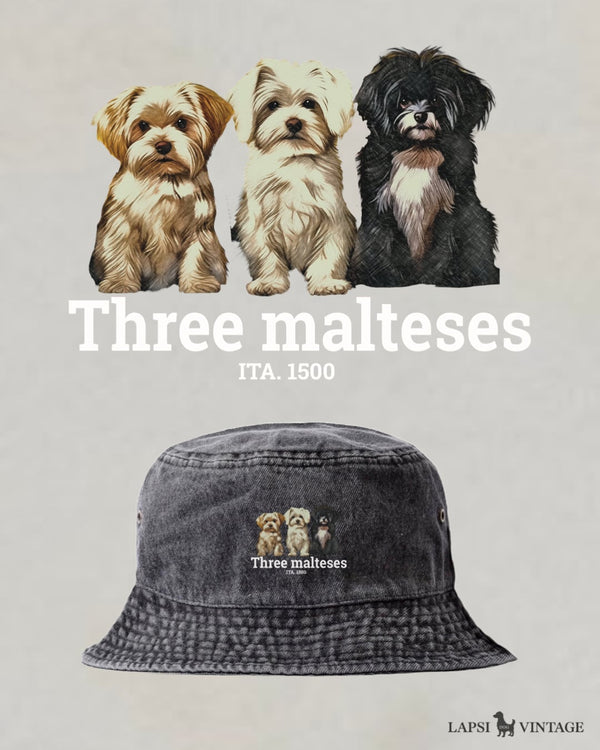 LAPSI Three dog series maltese bucket hat