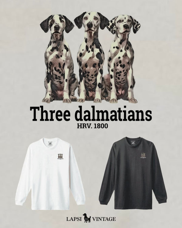 LAPSI Three dog series dalmatian long sleeve tee