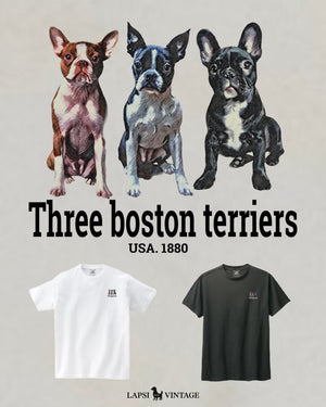 LAPSI Three dog series boston terrier Tee