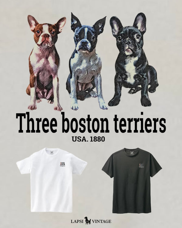 LAPSI Three dog series boston terrier Tee